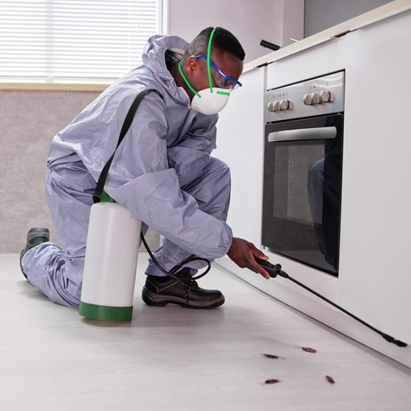 A person inspecting a home for cockroach infestations and common hiding places